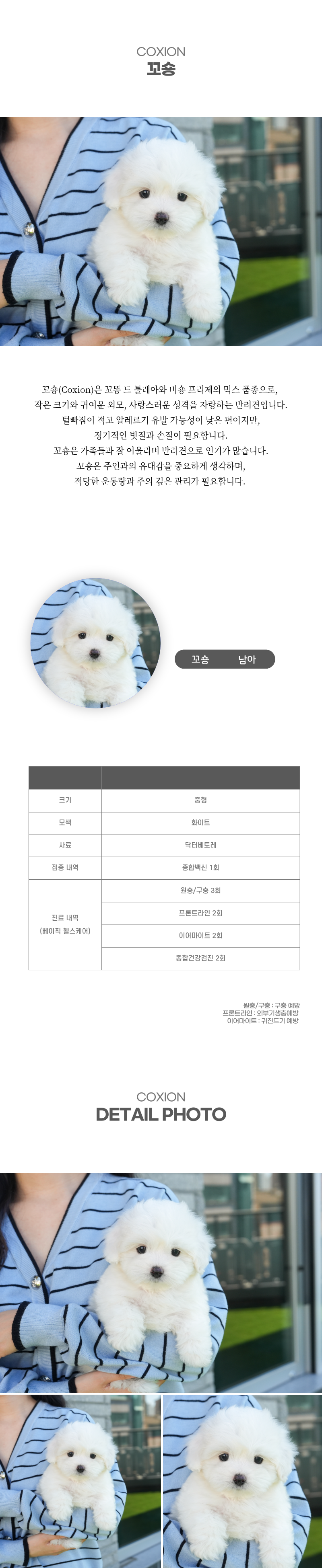 꼬숑_상세이미지_2